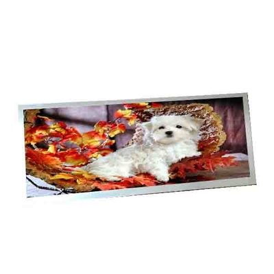 Đối với AUO C123HAN02.5 12.3 inch 40 pin màn hình LCD