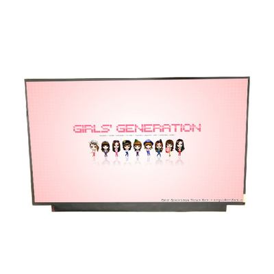 17.3 inch a-Si TFT-LCD B173ZAN02.0