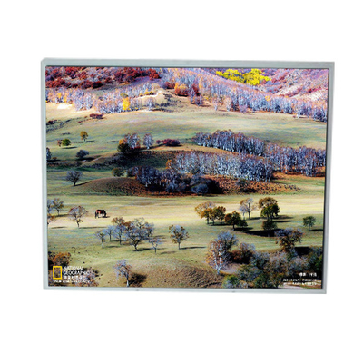 LM200WD1-TLA9 20,0 inch 1600 * 900 màn hình LCD TFT