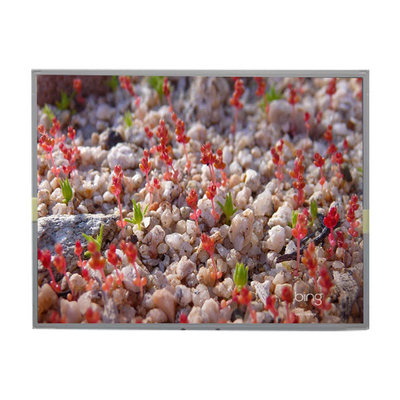 LM201W01-A6K2 20,1 inch LCD Panel 1680 * 1050 màn hình LCD