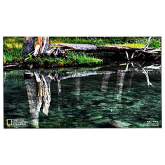 LM238WF5-SSE4 23.8 inch 1920 * 1080 LCD Touch Panel