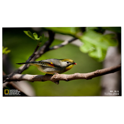 LM238WF5-SSF1 Màn hình cảm ứng FHD IPS 23,8 inch