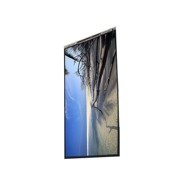 BS060Y8E-L30-6Q00 6.0 inch màn hình LCD màn hình LCD
