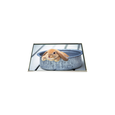 LP173WD1-TLH5 17,3 inch 60Hz màn hình màn hình màn hình LCD cho máy tính xách tay