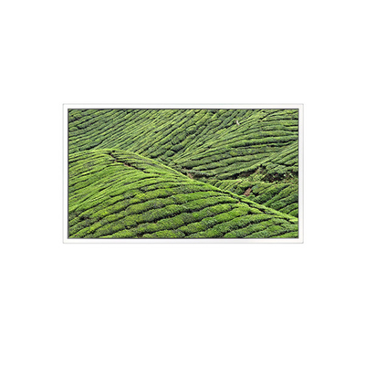 DV320WHD-NT0 32,0 inch 1366 * 768 màn hình LCD cho màn hình minh bạch