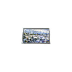 AM-800600M1TMQW-03H 800 * 600 8,4 inch 12S4P WLED TFT-LCD màn hình công nghiệp