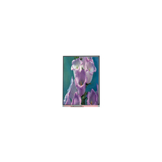 7.0 inch C070AWPE-0 800 * 480 TFT màn hình LCD màn hình LCD Panel công nghiệp