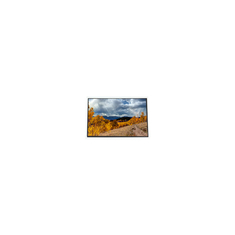 C080VAN02.6 8.0 inch 800 * 480 màn hình LCD cho ô tô
