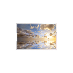 C088AWR1-1 Màn hình LCD 8,8 inch Màn hình LCD 1280*480 TFT