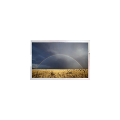 COG-PVLSZT258-01 6.0 inch màn hình LCD