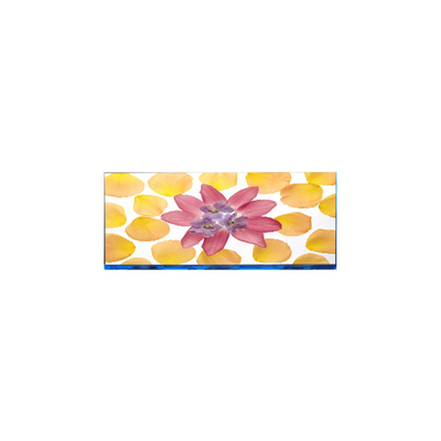 E102AWF6 R1 10.2 inch 1920 * 532 màn hình LCD