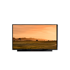 NE156FHM-NX2 gốc màn hình hiển thị LCD 15,6 inch