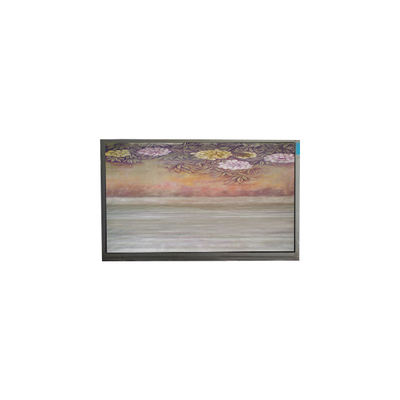 6.1 inch TFT LCD Panel U061SWR6-0 màn hình lcd màn hình hiển thị