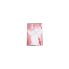 12.1 inch LS121K1LX02 1280*800 Bảng điều khiển màn hình LCD