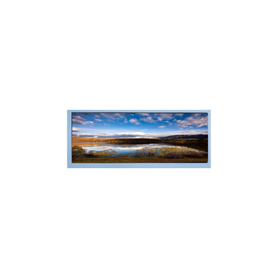 M102AWF2 R2 10.3 inch 1920 * 720 màn hình LCD