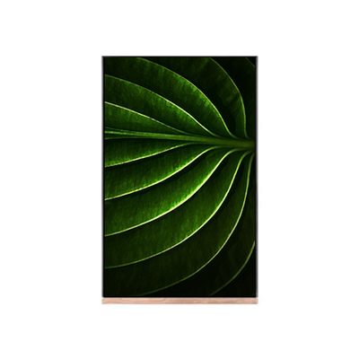 Màn hình LCD 10,1 inch cho mô-đun lcd NV101WUM-N53