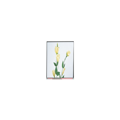 C059SWR1-0 5,9 inch LCD màn hình màn hình màn hình cho điện thoại di động
