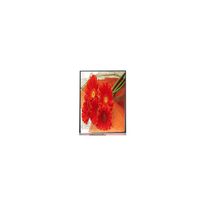 5.5 inch C055SWY9-0 màn hình LCD cho điện thoại di động