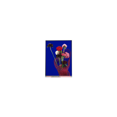 5.4 inch C054SWR6-0 540 * 1132 màn hình LCD cho điện thoại