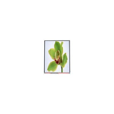 5.0 inch màn hình LCD TFT 480 * 854 C050SWYG-3