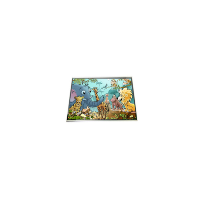 LPM060A513A 6.0 inch màn hình LCD màn hình hiển thị bảng điều khiển cho điện thoại di động