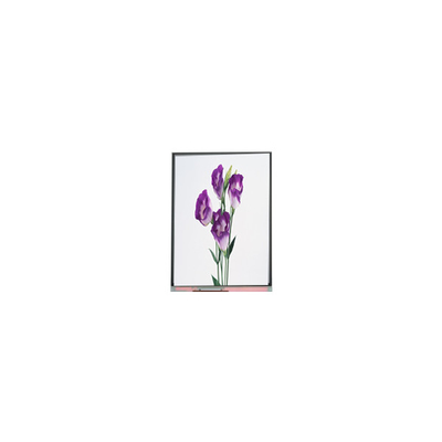 C057SWR1-1 5,7 inch 720 * 1440 màn hình LCD Panel cho điện thoại