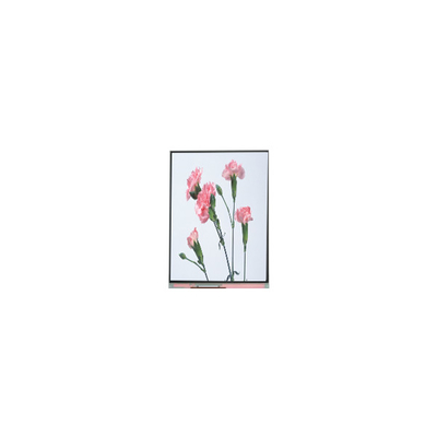 C060SWA3-3 6.0 inch 720 * 1280 màn hình LCD cho điện thoại