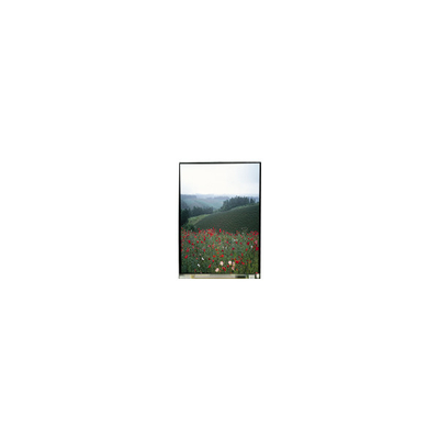 5.5 inch LS055B1SX01B màn hình LCD với cảm ứng cho điện thoại di động
