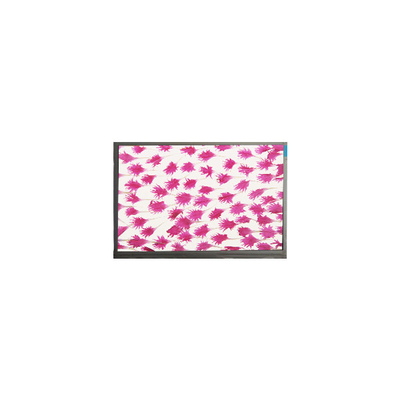 9.0 inch 800 * 480 màn hình LCD màn hình hiển thị E090SWP1 R2 bảng điều khiển LCD