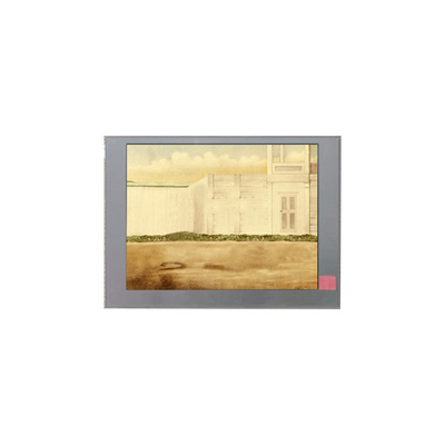 TM060JDZG01 Bảng hiển thị LCD 6,0 inch cho máy cầm tay và PDA