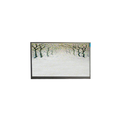 R125NWR3 R3 Mô-đun LCD 12,5 inch 1366 * 768 màn hình hiển thị LCD