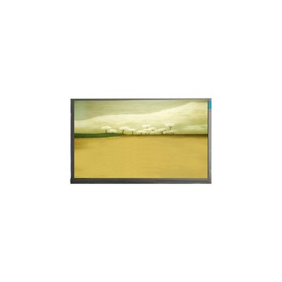 21,5 inch M215HJK-L3B màn hình màn hình LCD 1920*1080 màn hình LCD