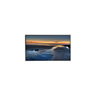 TT090WSQ-N10 9.0 inch 1024 * 600 màn hình hiển thị LCD