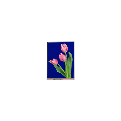 Màn hình LCD 5.4 inch mới C054SWZ4-1 540*960