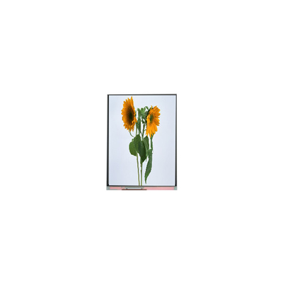 9.0 inch IVO màn hình LCD bảng điều khiển C090SWT3-0 1024 * 600 mô-đun hiển thị LCD