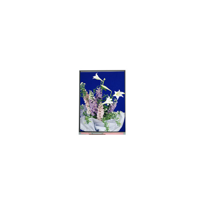 C054SWN1 R0 tft Màn hình LCD 5.4 inch màn hình LCD