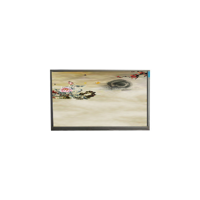 P236MWF2 R0 Màn hình màn hình TFT-LCD 1920*1080