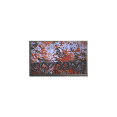 P140NWR1 R0 Màn hình LCD 14.0 Inch 1366 * 768 màn hình LCD