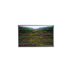 P236MWF1 R0 23,6 inch 1920 * 1080 LCD Panel LVDS Module