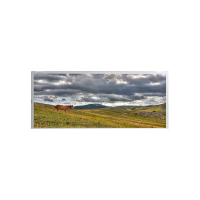 Giá tốt. Màn hình LCD công nghiệp AMPIRE 19,1 inch AM-1920360ATZQW-00 trực tuyến