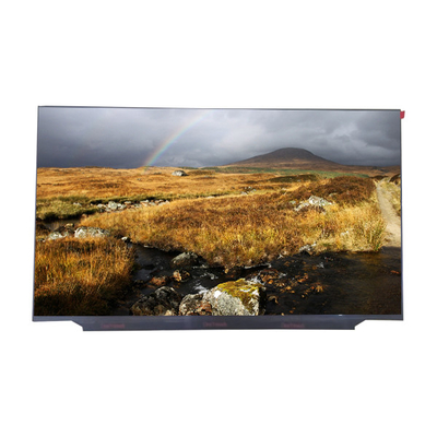 Giá tốt. Màn hình LCD máy tính xách tay RGB 1920×1080 60Hz 17.3 inch LM173LF1F01 trực tuyến