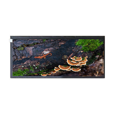 Giá tốt. Màn hình bảng điều khiển màn hình LCD 50 chân 12,3 inch HSD123KPW2-A10 cho Màn hình ô tô trực tuyến