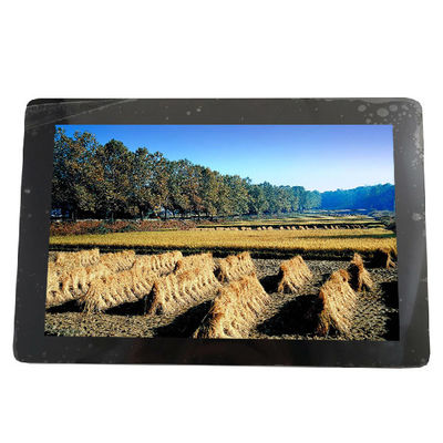 Giá tốt. MÀN HÌNH LCD 10.1 INCH 1280*800 149PPI B101EAN01.7 34 chân trực tuyến