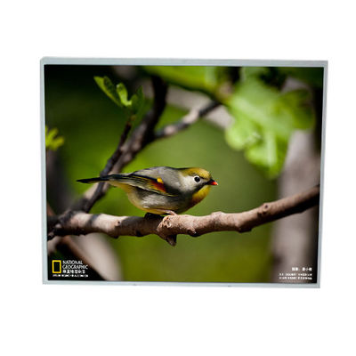 Giá tốt. LM201U1-A3M1 20,1 inch 1600 * 1200 màn hình LCD trực tuyến