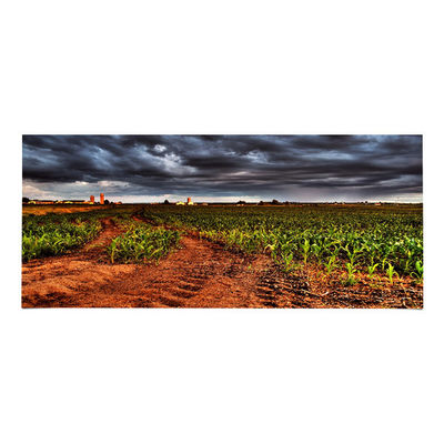 Giá tốt. LM340UW6-SSA3 34,0 inch LCD Panel 3440*1440 màn hình LCD trực tuyến