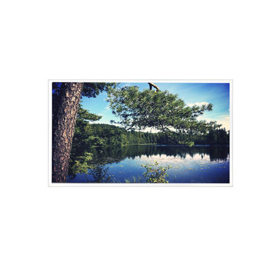 Giá tốt. 1024*768 15,0 inch TDA150-002 LVDS 700 cd/m2 Màn hình LCD trực tuyến