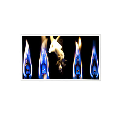 Giá tốt. TDA190-001V02 1280*1024 19.0 inch 800 cd/m2 LCD cho ánh sáng cao ngoài trời trực tuyến