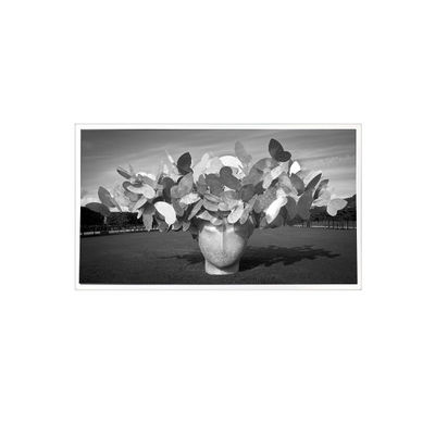 Giá tốt. 1280*1024 3.8 inch TPA038-001 800:1 màn hình LCD trực tuyến