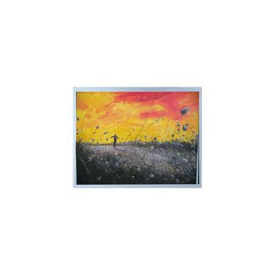 Giá tốt. F-55157GNB-FW-APN 320*240 5.7 inch màn hình LCD trực tuyến