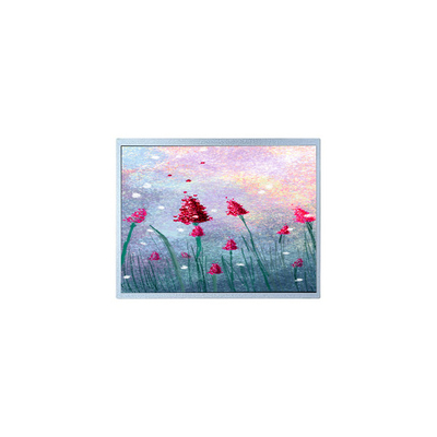 Giá tốt. P1900SXF1MA00 màn hình LCD TFT 19,0 inch cho hình ảnh y tế trực tuyến